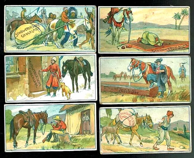 STOLLWERCK Album 4 von 1900 komplette Serie 169 Mensch und Pferd