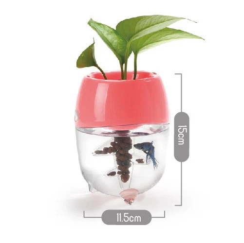 Aquaponic Fish Tank Aquarium for Betta Fish Water Garden Planter Top Lid Natural 2