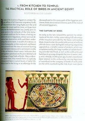 Oiseaux En Ancien Egypte As Mummies, Divinités, pour Nourriture Art Amulettes 40 3