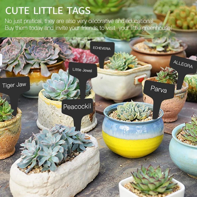 Plant Labels Garden stakes Markers Tags Nursery Seedling Black -20% off F6D8