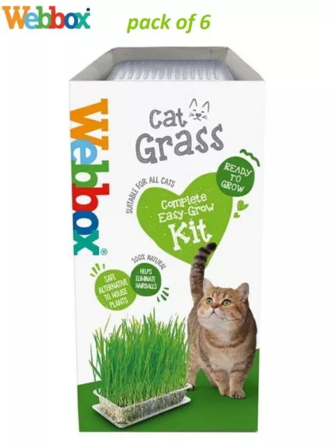 6 PACK Webbox Cat Grass EASY GROW KIT CAT TREAT Natural Treats, Vitamins.