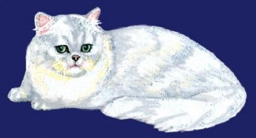 Embroidered Long-Sleeved T-Shirt - Silver Persian Cat BT2517 Sizes S - XXL