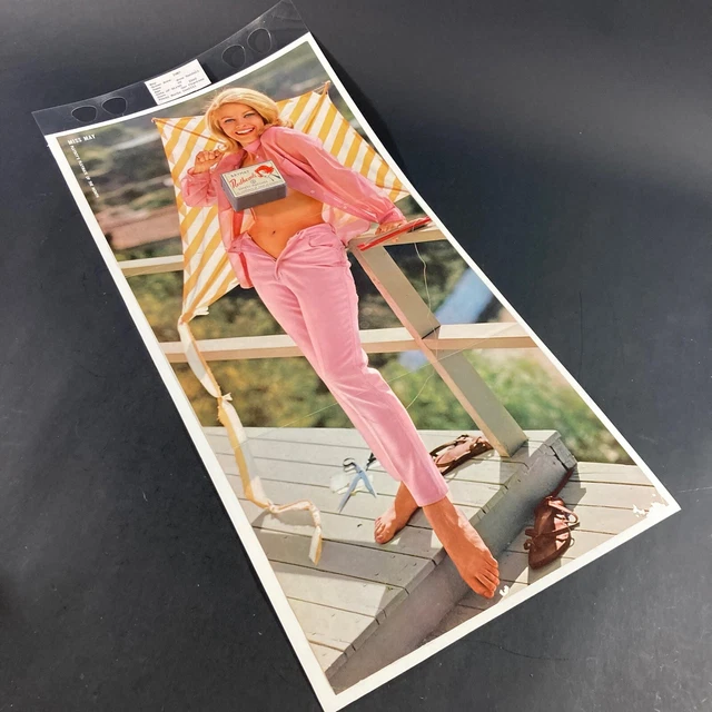 VINTAGE MAY 1967 Playboy Magazine Centerfold Playmate Poster Anne