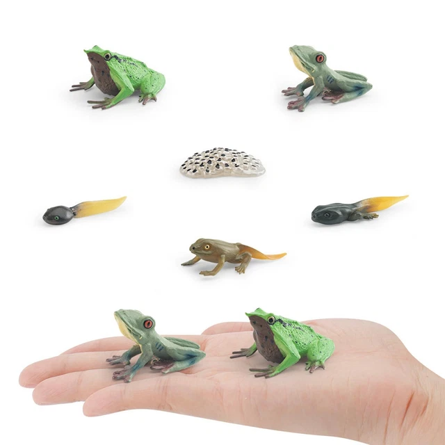 Lot 80 Grenouilles Sautantes Pour Enfants – Jouet Fun & Éducatif En Plastique Coloré !