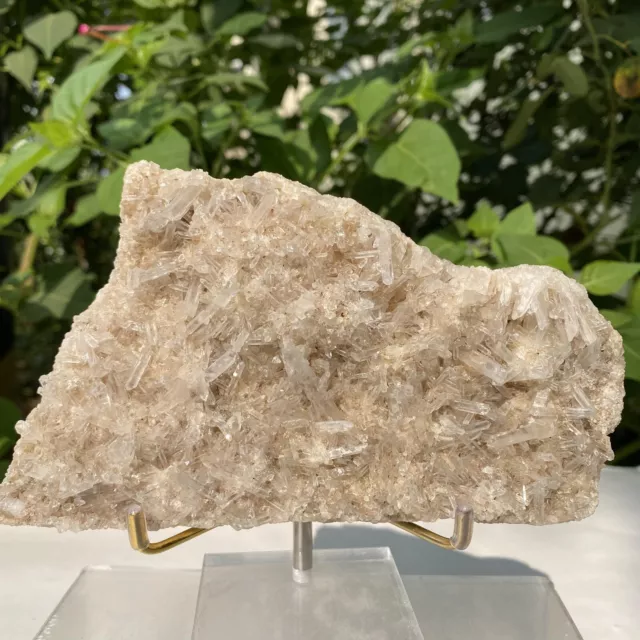 351g Natural Clear Quartz Cluster Crystal Quartz Healing Reiki