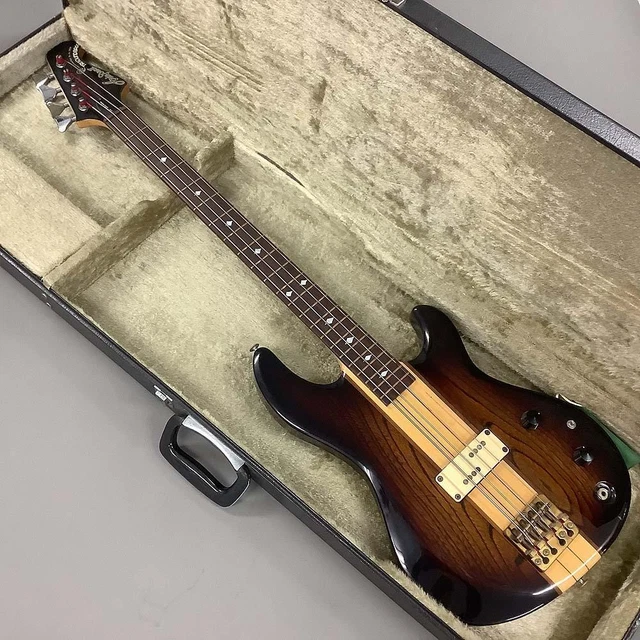 Aria Pro II RSB Medium/ Fender Wood Case Aria Pro II RSB Medium