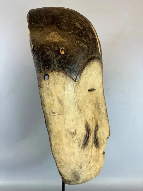230901 - Old African mask from the Lega Bwami - Congo. 3