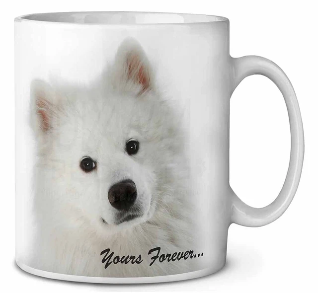 Samoyed Dog 'Yours Forever' Ceramic 10oz Coffee Mug/Tea Cup, AD-SO75MG