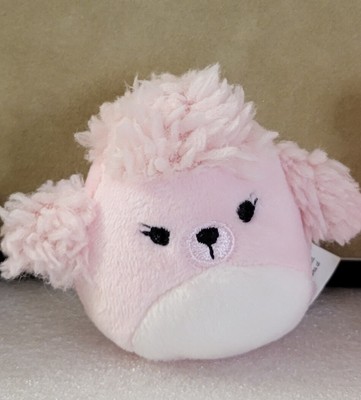 squishmallow chloe