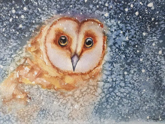 SALE! Original Painting Barn Owl  In The Night Sky