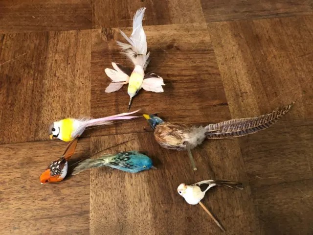 6 Petits Oiseaux Avec Plumes, Décorations,  Vintage