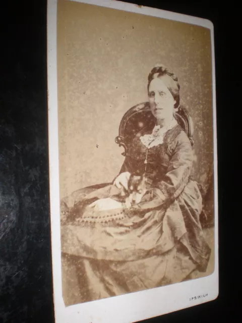 Cdv old photograph woman dog on lap by Vick at Ipswich c1880s