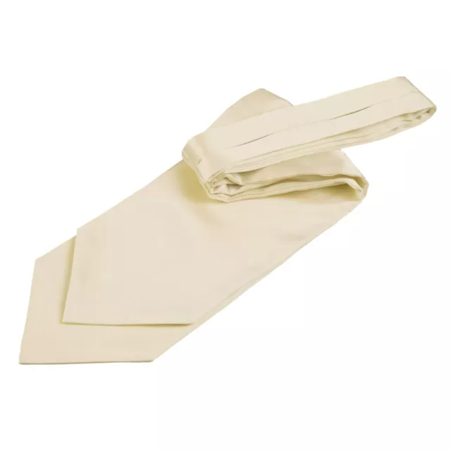 Champagne Mens Self-Tie Cravat Satin Plain Solid Casual Formal Wedding by DQT