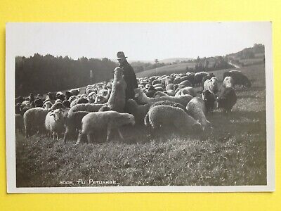 CPA  GASCOGNE  LE BERGER ET SON CHIEN 