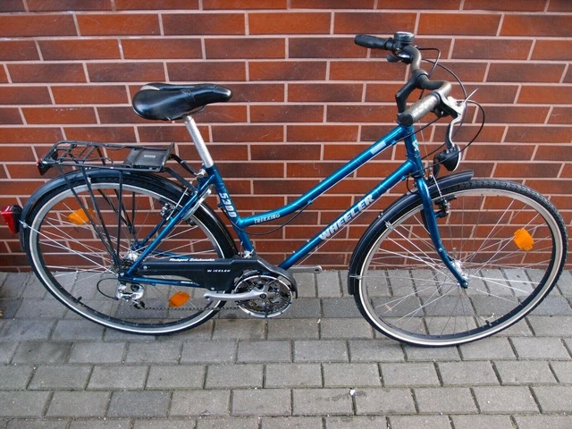 wheeler trekking bike