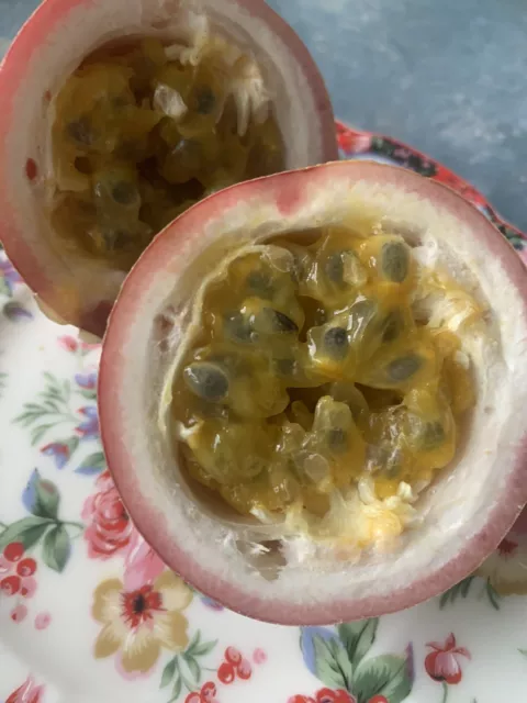 Passionfruit Panama Red seeds HEIRLOOM Fruit Abundant Producer Climatized SE Qld