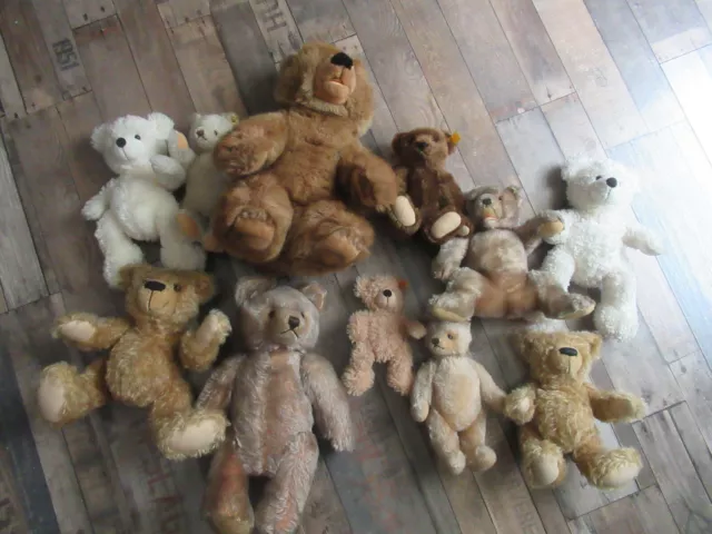 Steiff,Alte Teddybären,bespielt,Teddy,Konvolut,11 Stück,Steiff Teddy