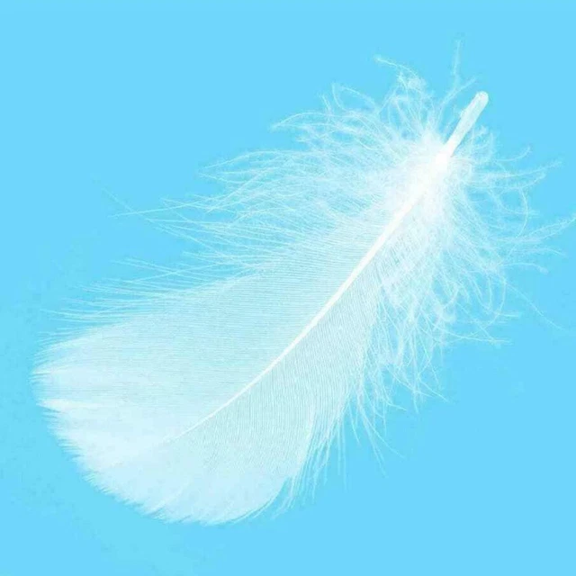 50 piezas/bolsa de plumas esponjosas blancas 8-12 cm tarjeta de memoria F6X2 Embellis Craft N0H2
