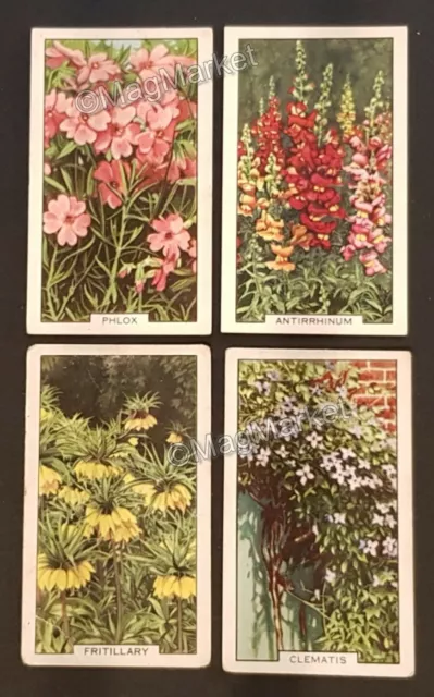 Gallaher · Garden Flowers · 1938 · Cigarette Cards · 4 Cards