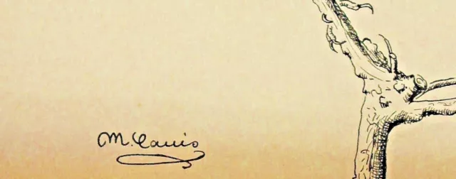 Dibujo Pájaro Rama Firmado Margot Vanderome-Canis 1919 3
