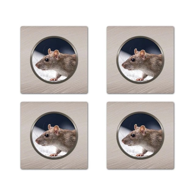 Rat Square Rubber Coaster Set rats