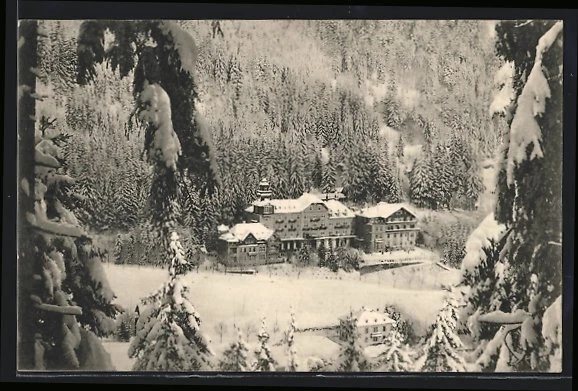 ANSICHTSKARTE ST. BLASIEN, Sanatorium im Schnee EUR 5,00 PicClick DE