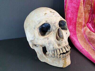 Old Cast Skull …beautiful display piece 2