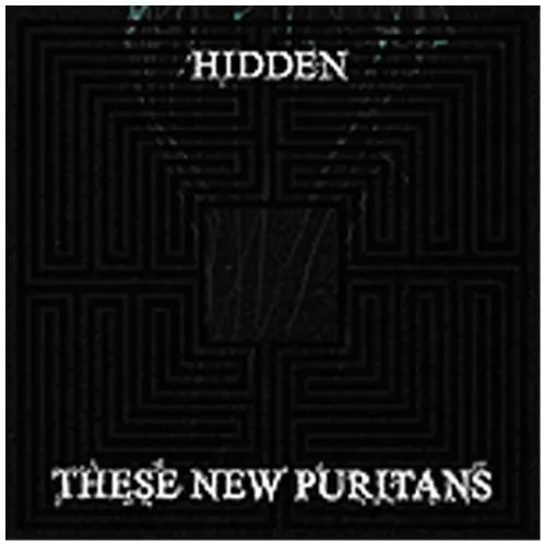 These New Puritans : Hidden CD Value Guaranteed from eBay’s biggest seller!