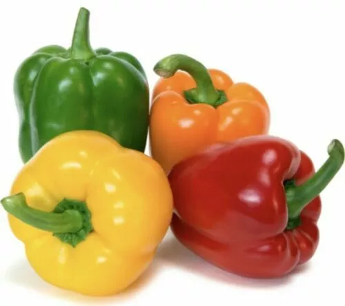 Rainbow Bell Pepper Mix Heirloom Seeds | NON-GMO | Fresh Garden Seed