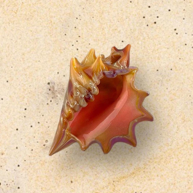 Lampwork Beads Boro Glass Conch Cone Sea Shell Focal Bead Pendant RC Art Glass 4