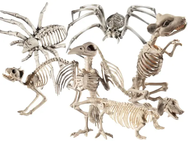 Halloween Humano Animal Esqueleto Crazy Huesos Desechables Fiesta Props Decorar