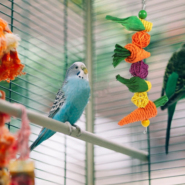 Natürliche Haushalt Papagei Kauspielzeug Holz Vogel Beißen Spielzeug Für Spielen