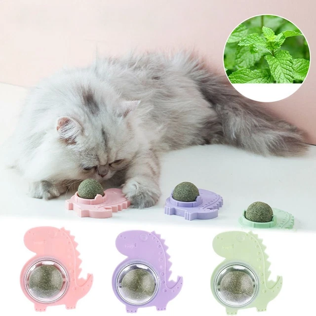 Giocattoli per gatti pulizia denti sani palline per erba gatta interattive rotanti gatto menta