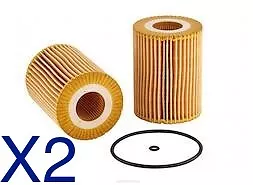 2x Oil Filter R2623P CHRYSLER 300C LE JEEP COMMANDER XH GRAND CHEROKEE WH