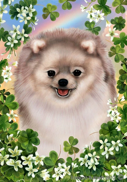 Clover Garden Flag - Cream Sable Pomeranian
