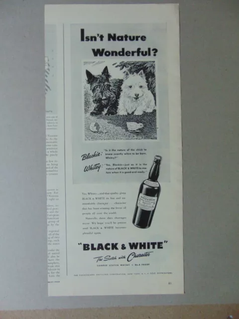 1944 BLACK & WHITE SCOTCH Scotty Dogs Egg Hatch Nature is Wonderful art print ad