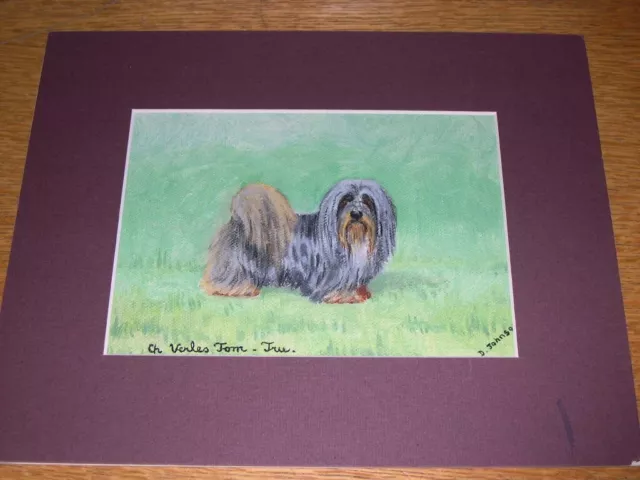 Antique Lhasa Apso Dog Oil Painting By D. Johnson "Ch. Verles Tom-Tue"