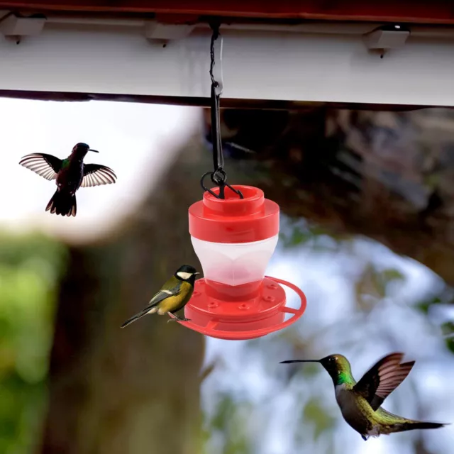 Nourriture pour colibris suspendue étanche pour attirer les oiseaux dans votre