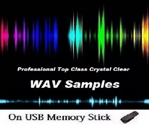 Vocals & Historical Moments Digital Audio WAV Samples Studio Collection 64GB USB