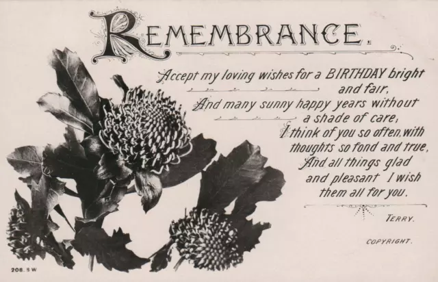 1908 VINTAGE Beagles Real Photo Waratah Remembrance Birthday POSTCARD Brisbane