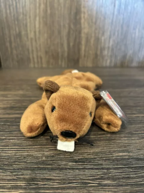 Ty Beanie Babies Bucky The Beaver  With Tags & Plastic Protector