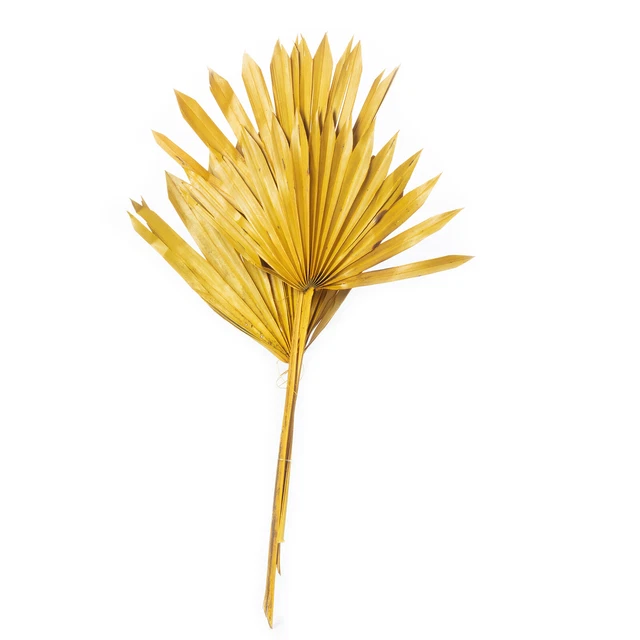 Palmsun mit Stiel - 50 Stück Beutel - curry-gelb