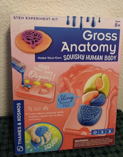 SCIENCE KIT FOR Kids Gross Anatomy Makeyourown Squishy Human Body Kit