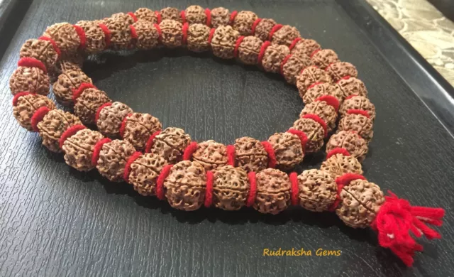 Nepal Rudraksha Mala Kantha Rudraksh 54+1 Collector Beads Japa Rosary Yoga Hindu