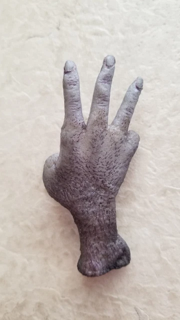 “Cursed” Monkey's Paw / Monkey Hand Prop Replica Hand-Made novelty 3 Wishes Claw