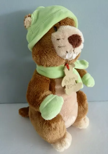 *. DOUDOU PELUCHE HISTOIRE D'OURS MARMOTTE CASTOR MARRON ECHARPE VERT 21cm TTBE 2