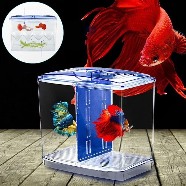 Betta Fish Tank - Small Aquarium with Divider - 2/5 Gallon Acrylic Fish Jar 8
