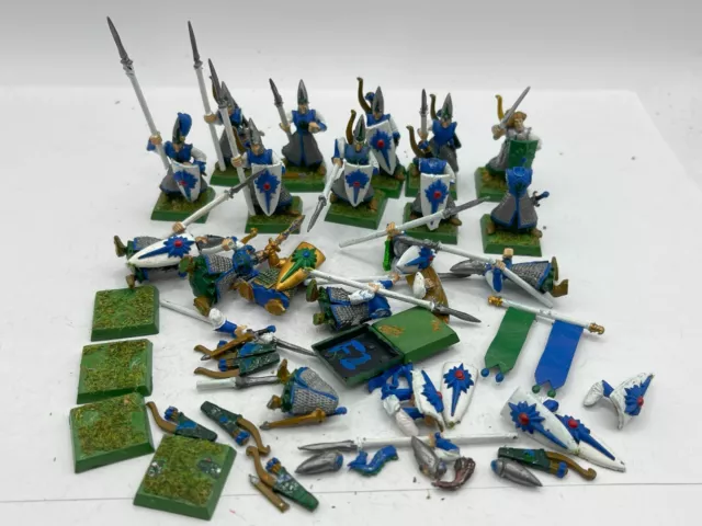 Warhammer 12 x High Elf Spearmen Plastic