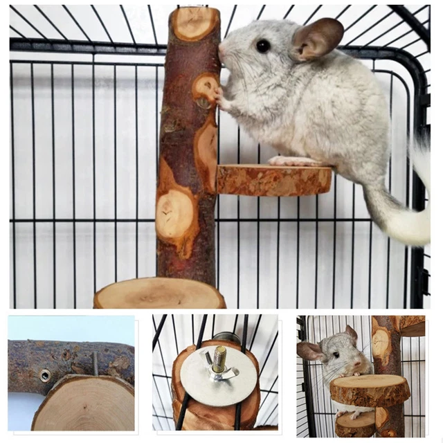 Soporte de hámster mano de obra fina entretenimiento para animales pequeños soporte para mascotas juguete