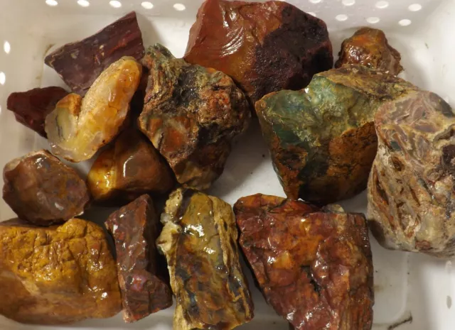 20# Batch MIXED LAPIDARY Rough *Jasper Agate Petrified Wood +Unknowns 3